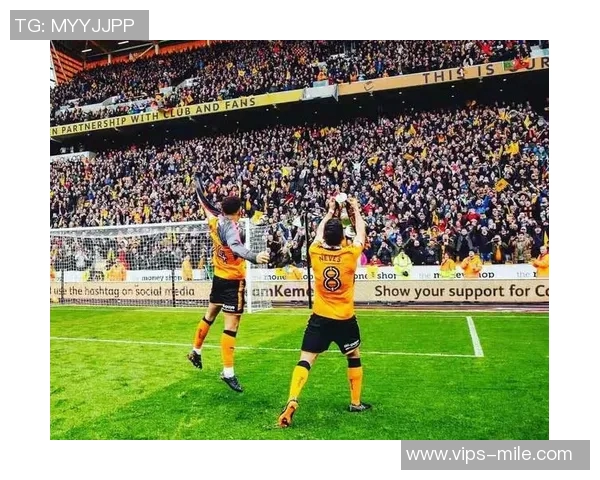 若昂内维斯的足球之路：从青训新星到职业联赛的璀璨之星